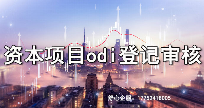 ODI备案中项目 ODI备案中项目