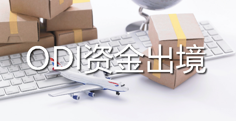 ODI备案年度报告